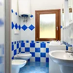 Lazulite - Sardinia *