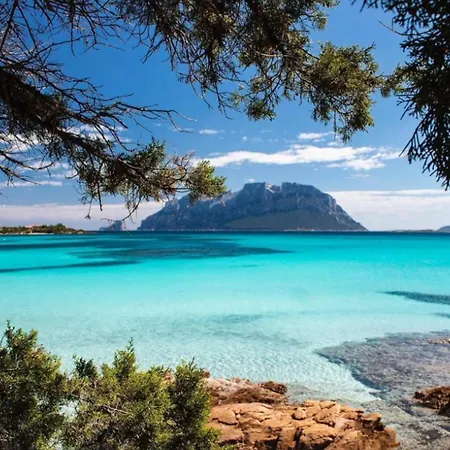 Lazulite - Sardinia Vacation
