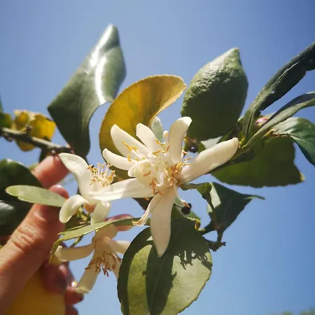 Appartamento Lazulite - Sardinia Vacation *
